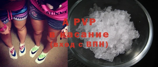твердый Аркадак